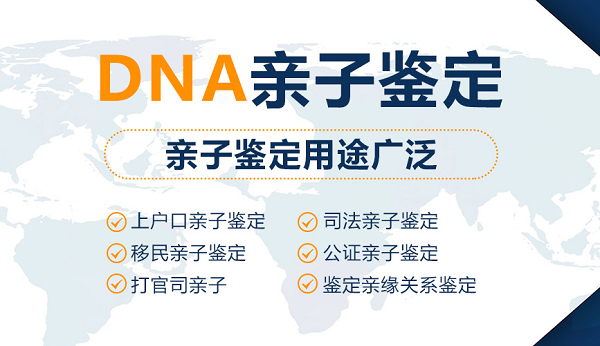 云南省亲子鉴定机构有几家,云南省办理亲子鉴定条件和材料