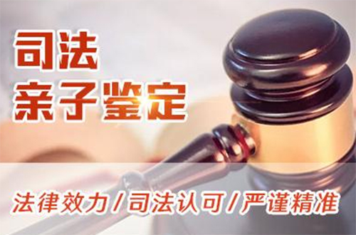 云南省司法DNA鉴定怎么做,云南省司法DNA鉴定哪里做的准