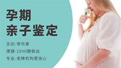 云南省胎儿亲子鉴定如何办理，云南省孕期亲子鉴定准确吗