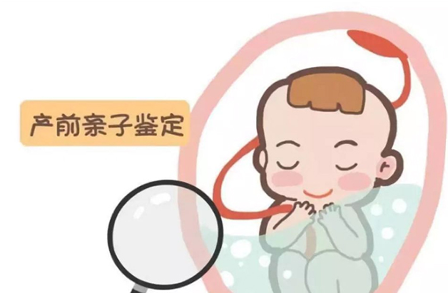 云南省怎么做怀孕亲子鉴定,