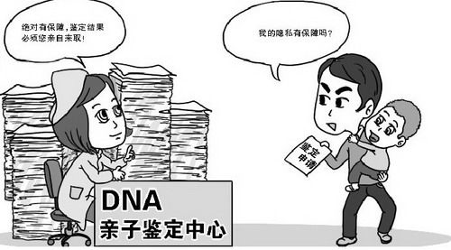 云南省能办理DNA鉴定吗,云南省办理亲子鉴定程序是什么